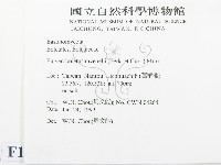 登錄號:F0013194藏品圖，第2張