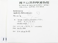 登錄號:F0013195藏品圖，第2張