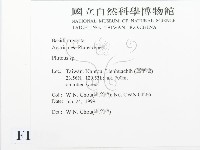 登錄號:F0013196藏品圖，第2張