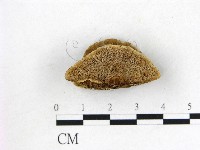 登錄號:F0013197藏品圖，第1張