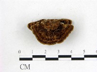 登錄號:F0013197藏品圖，第3張
