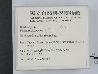 登錄號:F0013198藏品圖，第2張