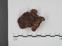 登錄號:F0013198藏品圖，第1張