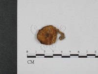 登錄號:F0013200藏品圖，第1張