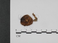 登錄號:F0013200藏品圖，第3張