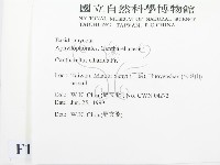 登錄號:F0013201藏品圖，第2張
