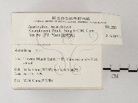 登錄號:F0013202藏品圖，第2張