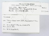 登錄號:F0013202藏品圖，第3張