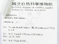 登錄號:F0013202藏品圖，第4張