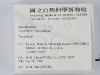 銀耳屬藏品圖，第2張
