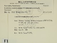 登錄號:F0013204藏品圖，第2張