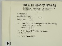 登錄號:F0013207藏品圖，第2張