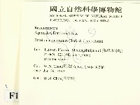 登錄號:F0013209藏品圖，第2張