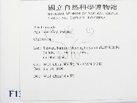 鬼傘屬藏品圖，第2張