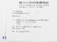 紅菇屬藏品圖，第2張