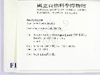 登錄號:F0013215藏品圖，第2張