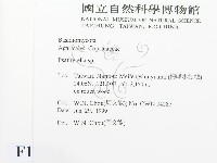 登錄號:F0013216藏品圖，第2張