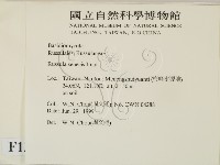 登錄號:F0013217藏品圖，第2張