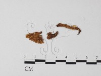 登錄號:F0013218藏品圖，第3張