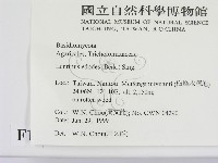 登錄號:F0013219藏品圖，第2張