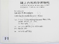 登錄號:F0013220藏品圖，第2張