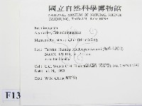 登錄號:F0013224藏品圖，第2張
