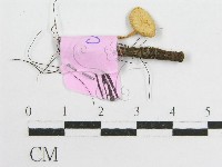 登錄號:F0013224藏品圖，第3張