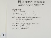 登錄號:F0013225藏品圖，第2張