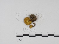 登錄號:F0013225藏品圖，第3張