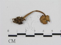 登錄號:F0013227藏品圖，第3張