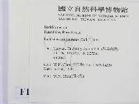 登錄號:F0013228藏品圖，第2張