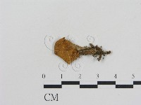 登錄號:F0013228藏品圖，第1張