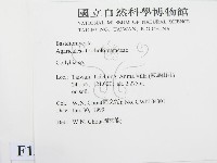 登錄號:F0013229藏品圖，第2張