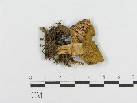 登錄號:F0013230藏品圖，第3張