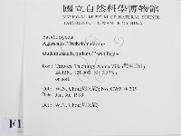登錄號:F0013233藏品圖，第2張