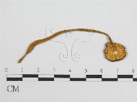 登錄號:F0013233藏品圖，第1張