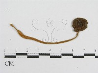 登錄號:F0013233藏品圖，第3張