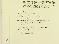 登錄號:F0013234藏品圖，第2張
