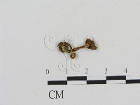 登錄號:F0013234藏品圖，第1張