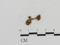 登錄號:F0013234藏品圖，第3張