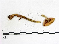 登錄號:F0013235藏品圖，第3張