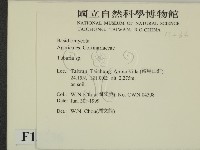 登錄號:F0013236藏品圖，第2張