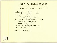 登錄號:F0013237藏品圖，第2張