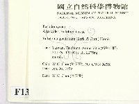 登錄號:F0013238藏品圖，第2張