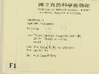 登錄號:F0013239藏品圖，第2張