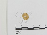登錄號:F0013239藏品圖，第1張