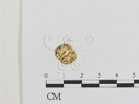 登錄號:F0013239藏品圖，第3張