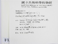 登錄號:F0013240藏品圖，第2張