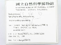 登錄號:F0013242藏品圖，第2張