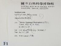 登錄號:F0013243藏品圖，第2張